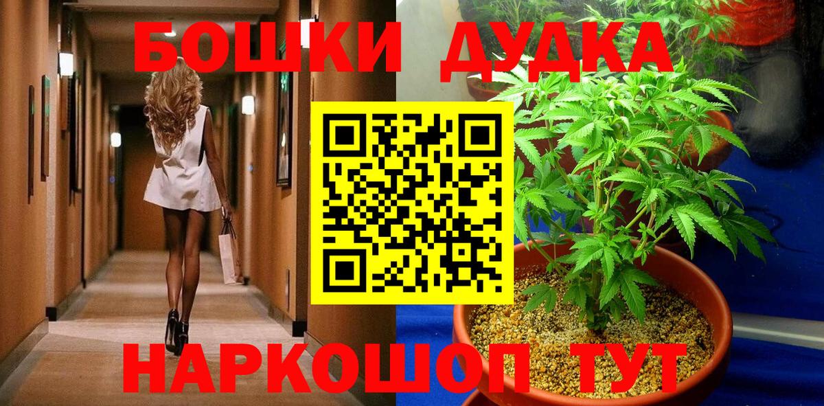 Шишки марихуана сатива Усть-Джегута